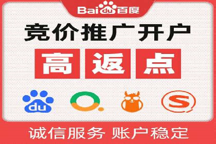 SEM服务助力企业快速增长案例